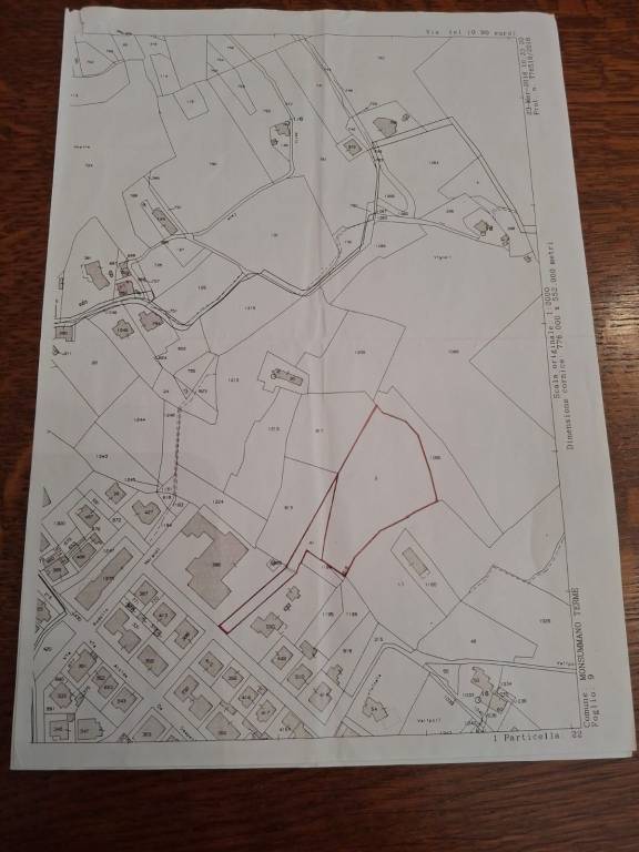 immagine annuncio 11 di 12