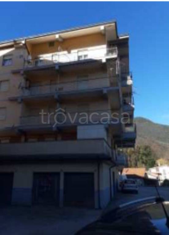 immagine annuncio 7 di 13