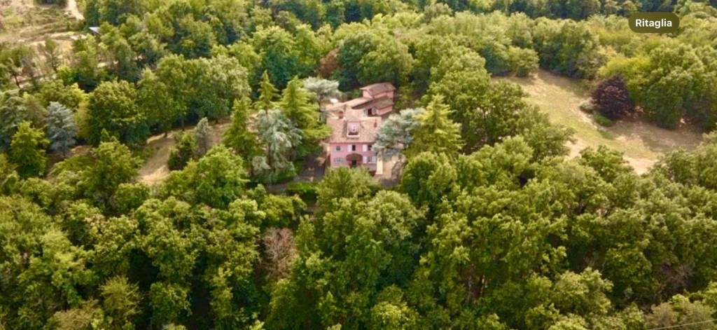 immagine annuncio 8 di 9