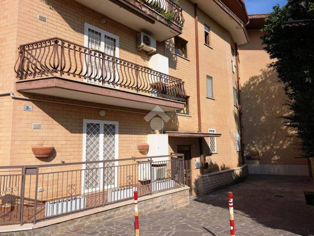 immagine annuncio 1 di 12