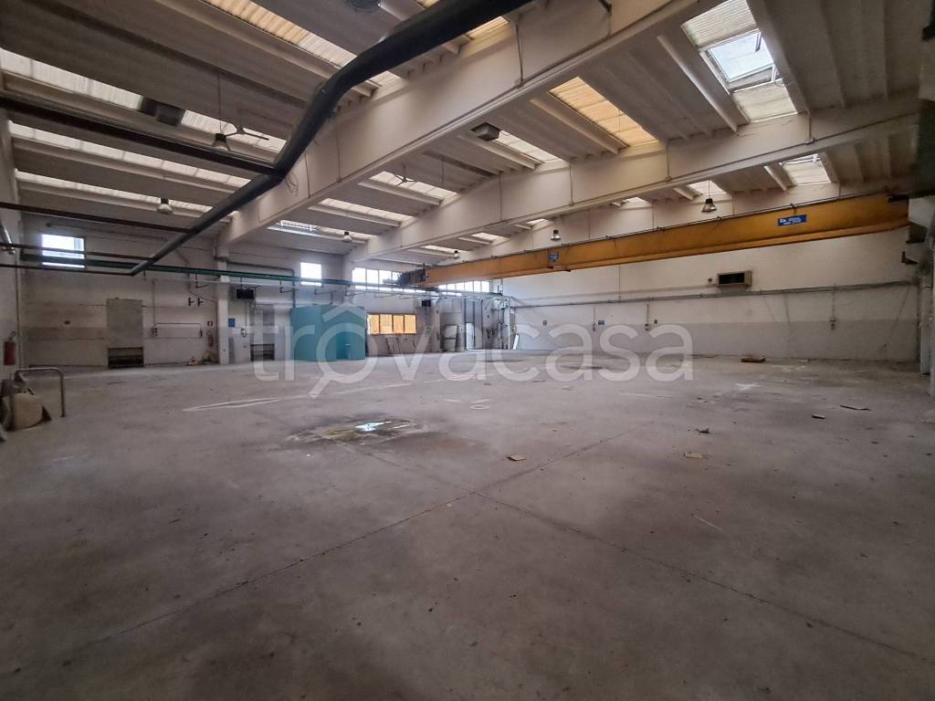 immagine annuncio 5 di 14