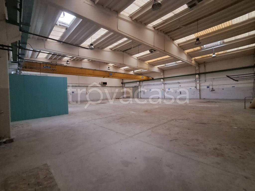 immagine annuncio 6 di 14