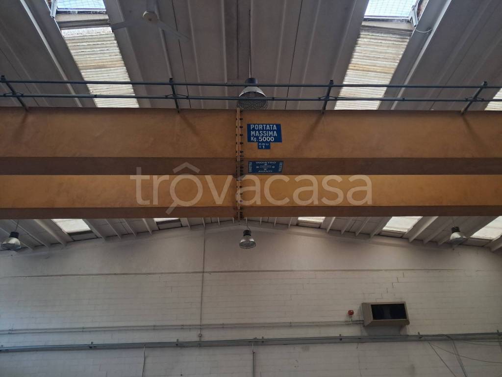 immagine annuncio 7 di 14