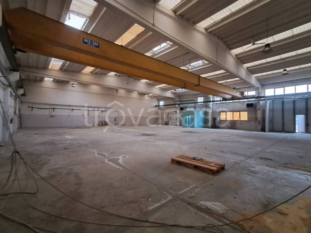 immagine annuncio 9 di 14