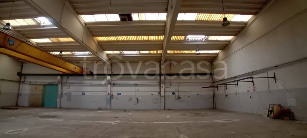 immagine annuncio 4 di 14