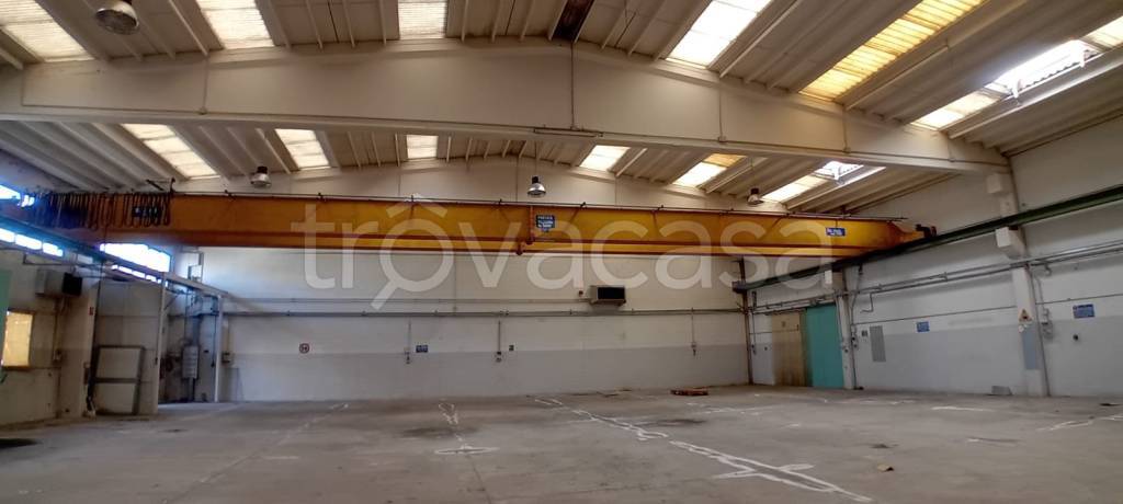 immagine annuncio 3 di 14