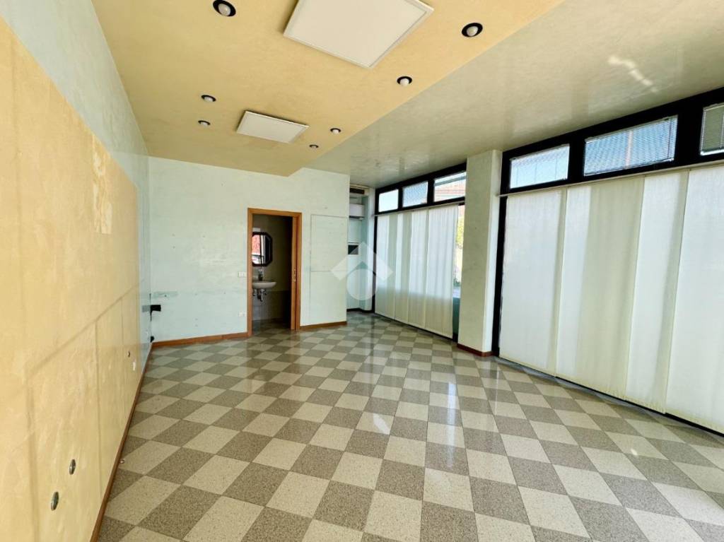 immagine annuncio 11 di 14