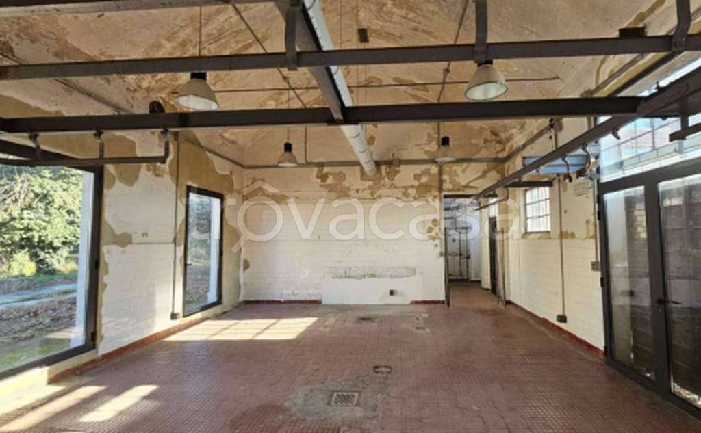 immagine annuncio 3 di 12