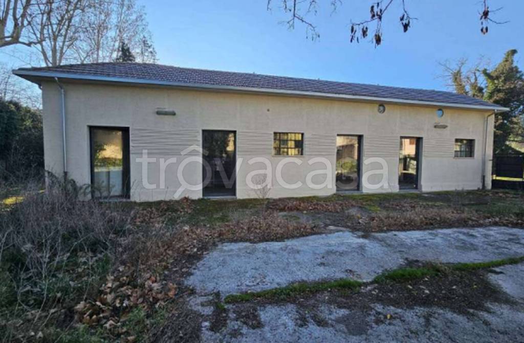 immagine annuncio 4 di 12