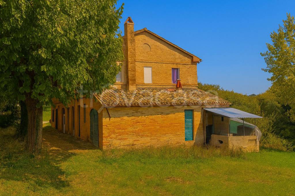 immagine annuncio 5 di 9