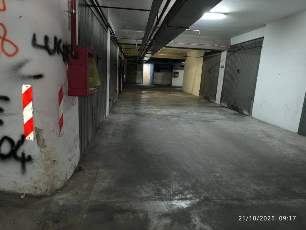 immagine annuncio 4 di 12