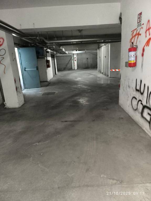 immagine annuncio 5 di 12