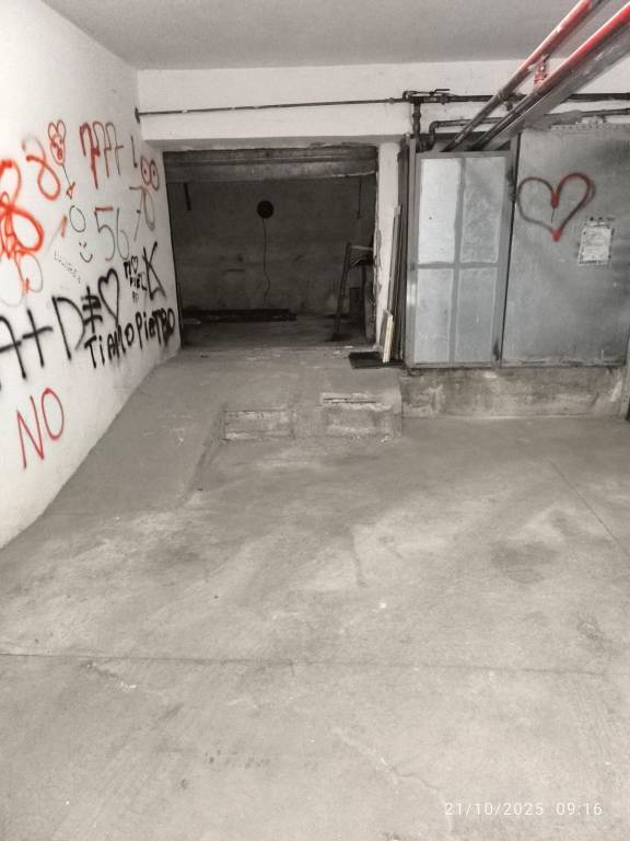 immagine annuncio 11 di 12