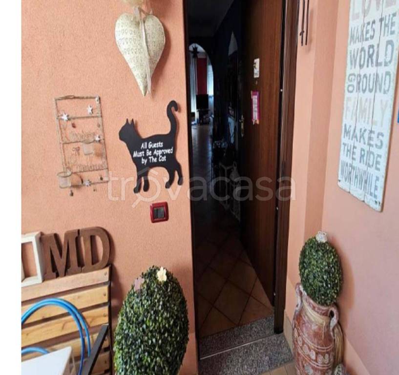 immagine annuncio 5 di 13