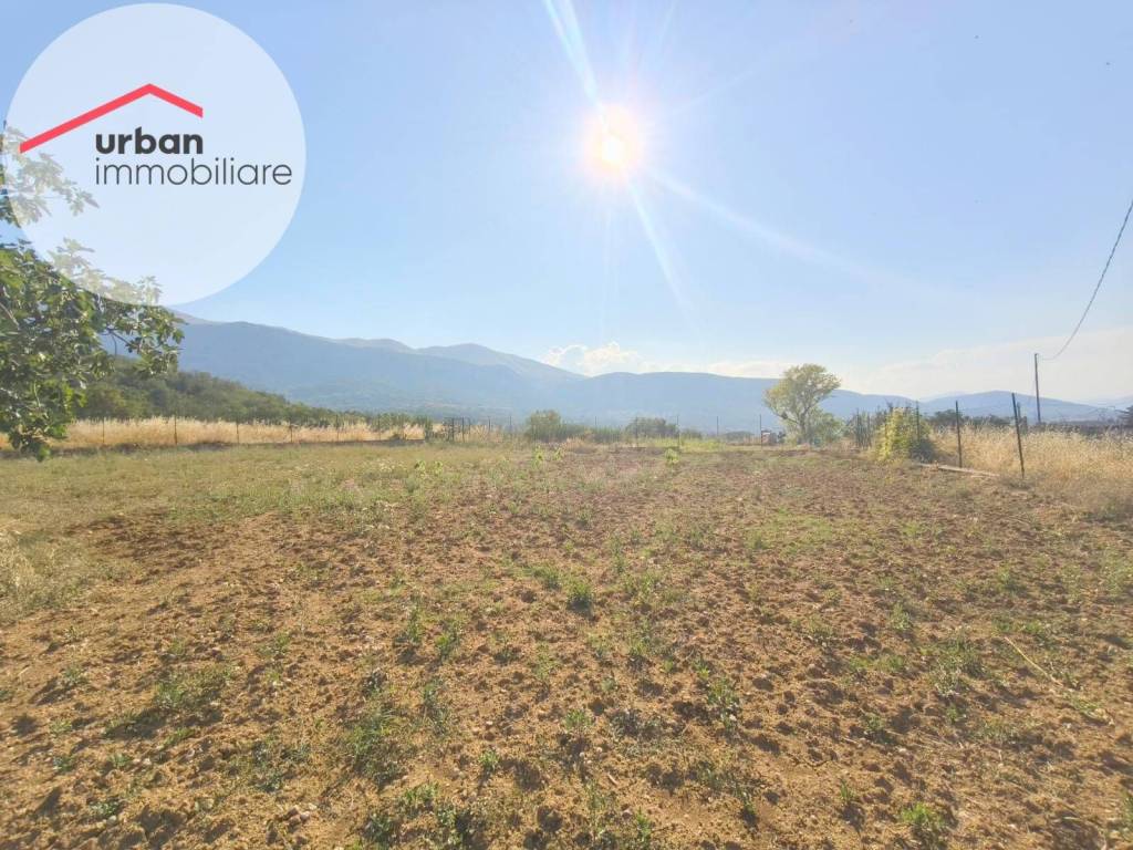 immagine annuncio 4 di 13