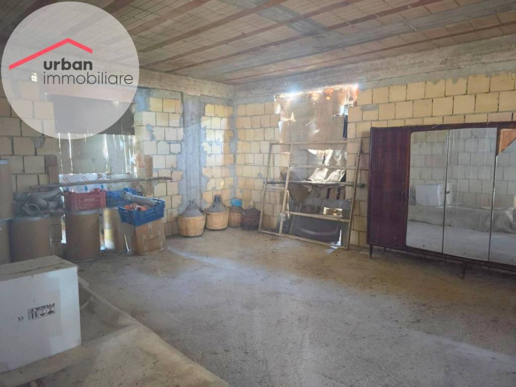 immagine annuncio 11 di 13