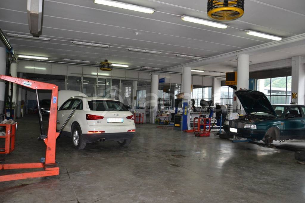 immagine annuncio 5 di 15