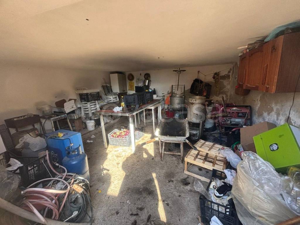 immagine annuncio 10 di 12