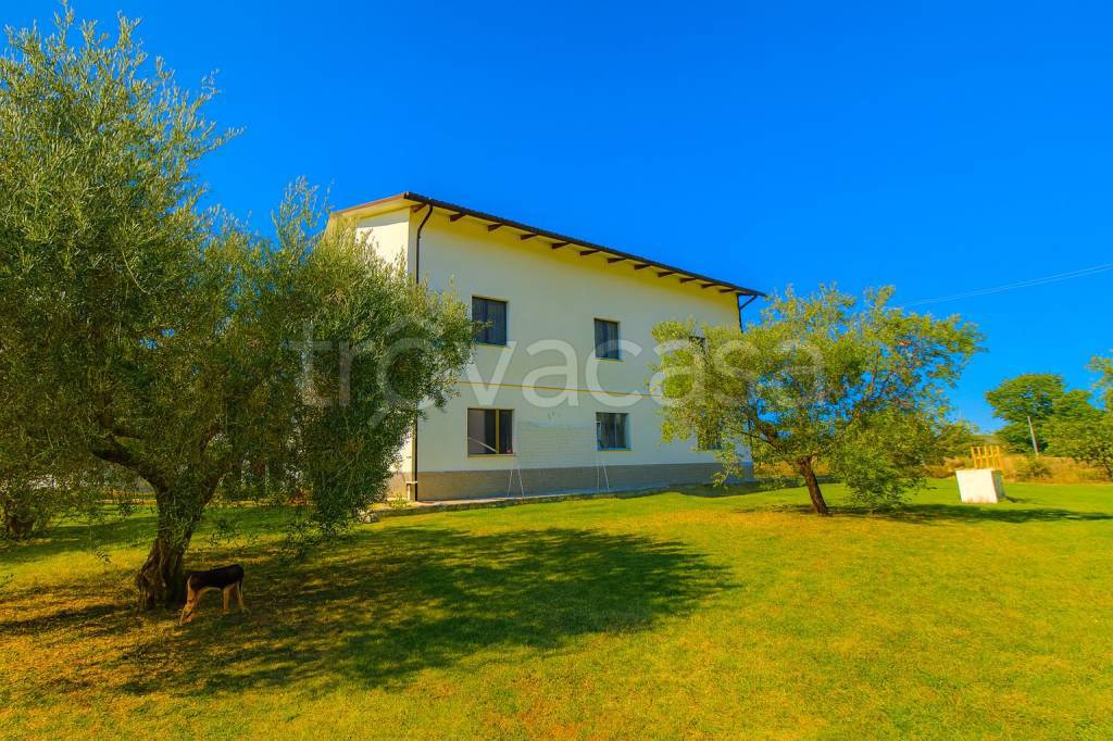 immagine annuncio 7 di 8