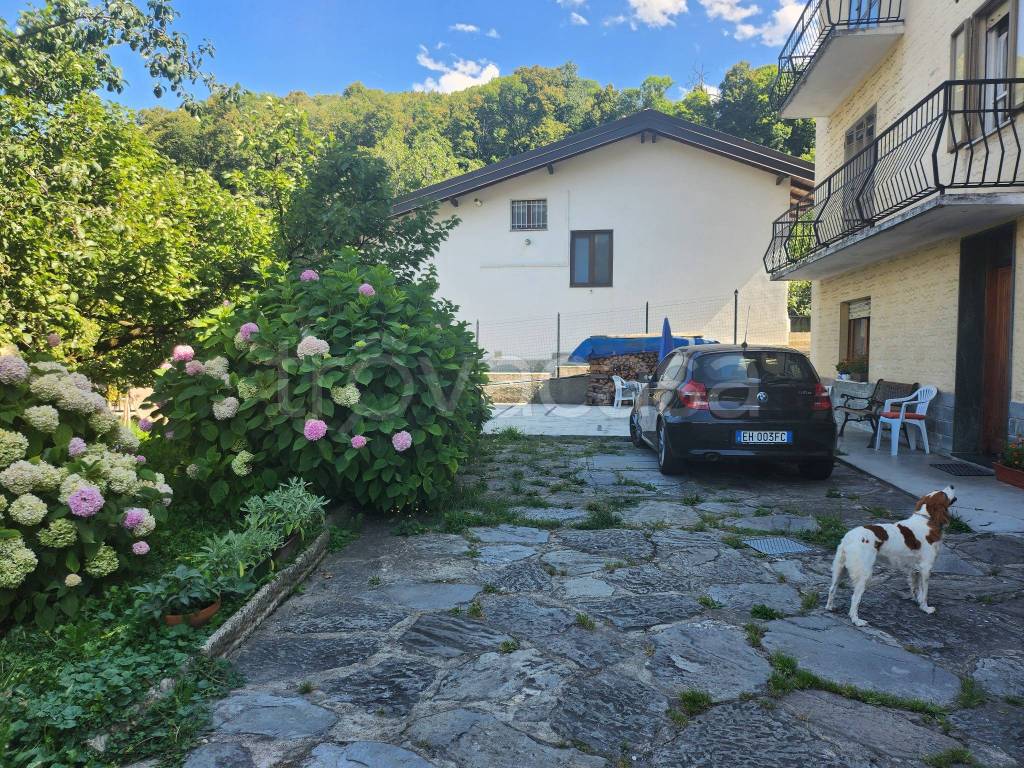 immagine annuncio 3 di 15