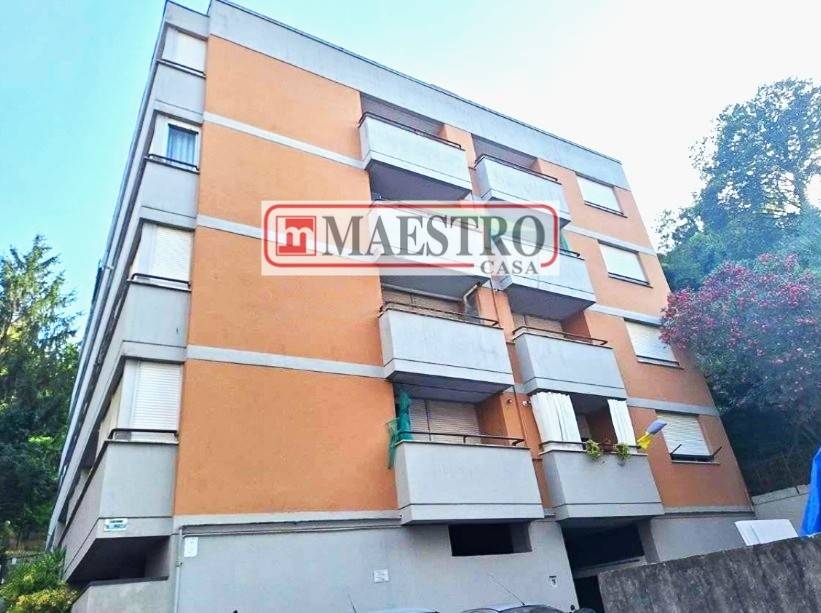 immagine annuncio 11 di 13