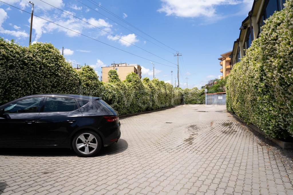 immagine annuncio 6 di 7