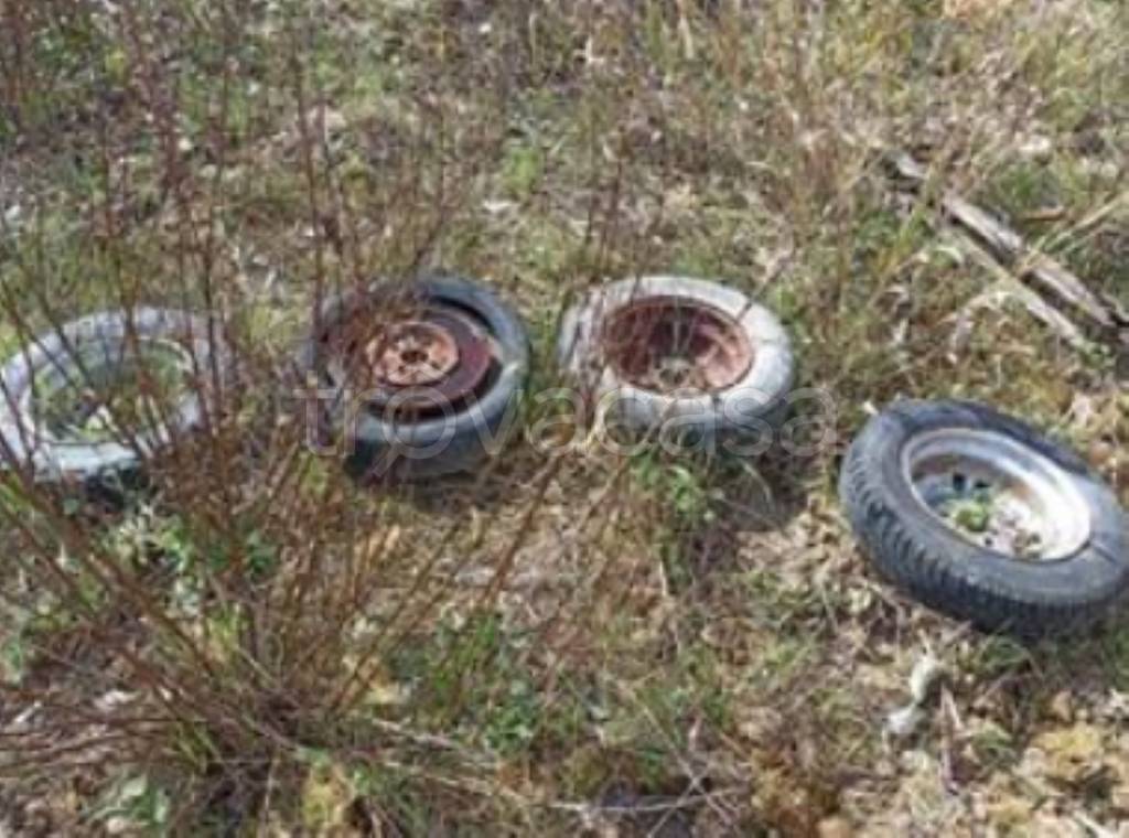 immagine annuncio 9 di 11