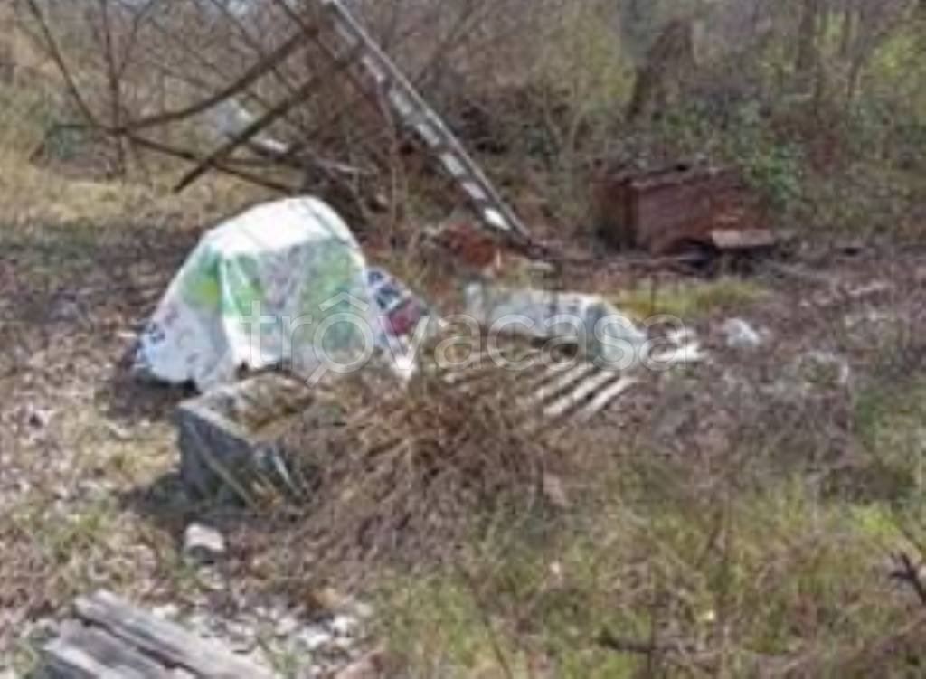 immagine annuncio 10 di 11