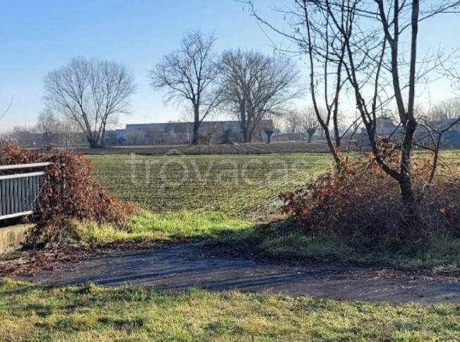 immagine annuncio 4 di 11