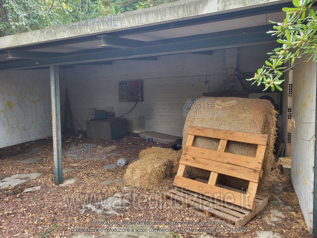 immagine annuncio 5 di 12