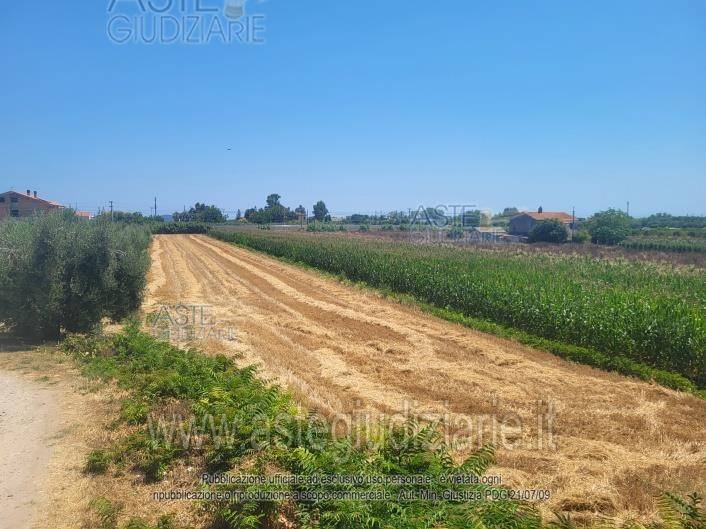 immagine annuncio 1 di 4