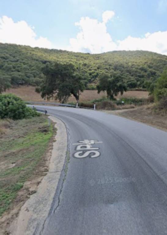 immagine annuncio 6 di 11