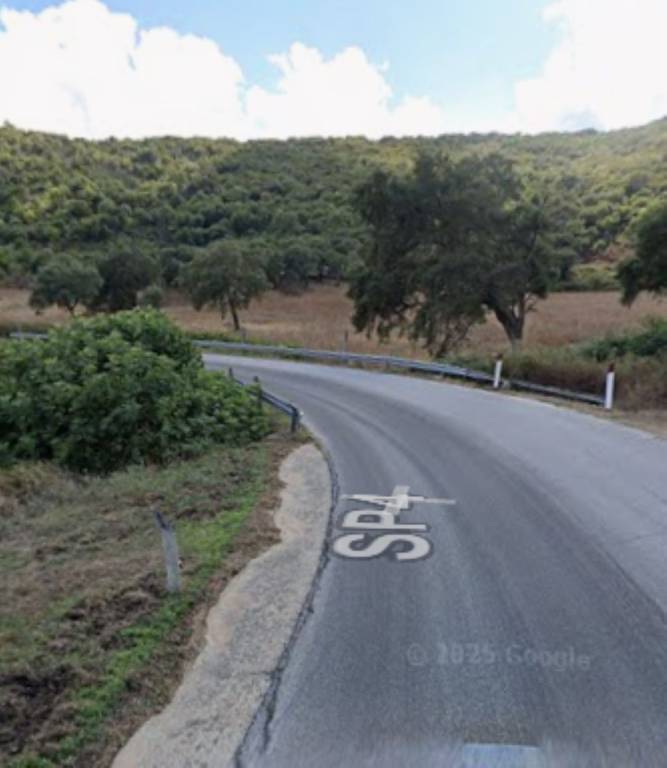 immagine annuncio 10 di 11