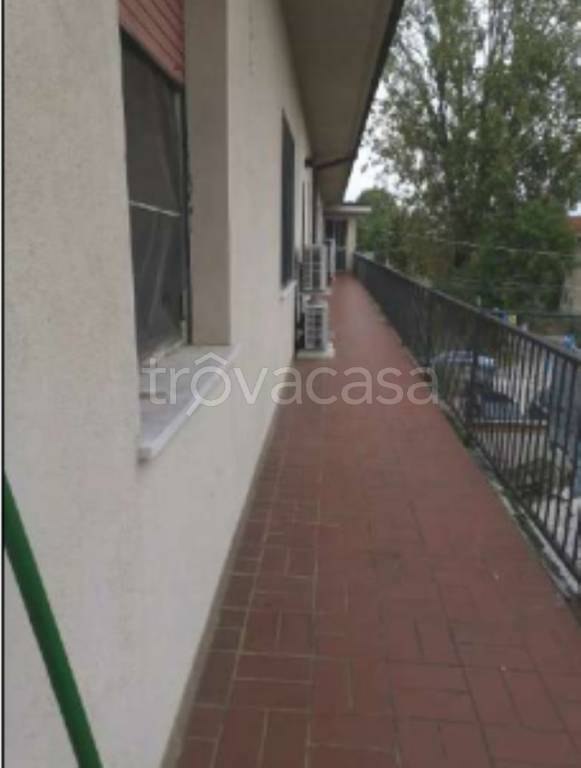 immagine annuncio 8 di 14