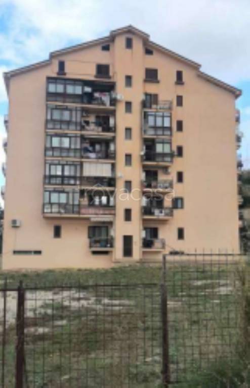 immagine annuncio 4 di 11