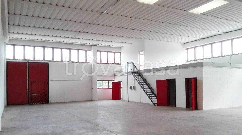 immagine annuncio 1 di 8