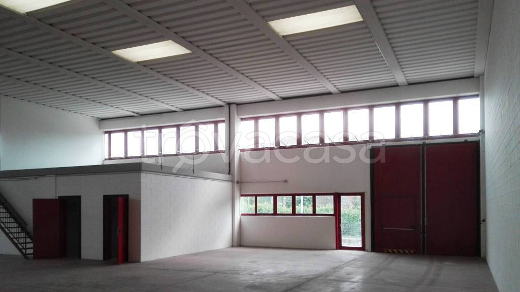 immagine annuncio 4 di 8