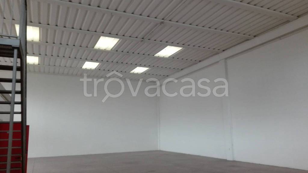 immagine annuncio 6 di 8