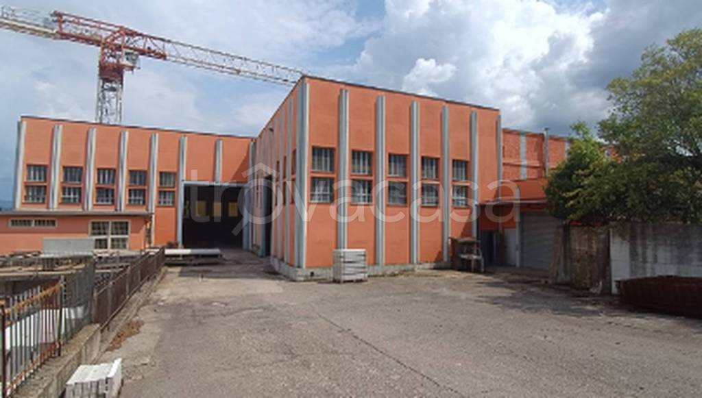 immagine annuncio 10 di 12