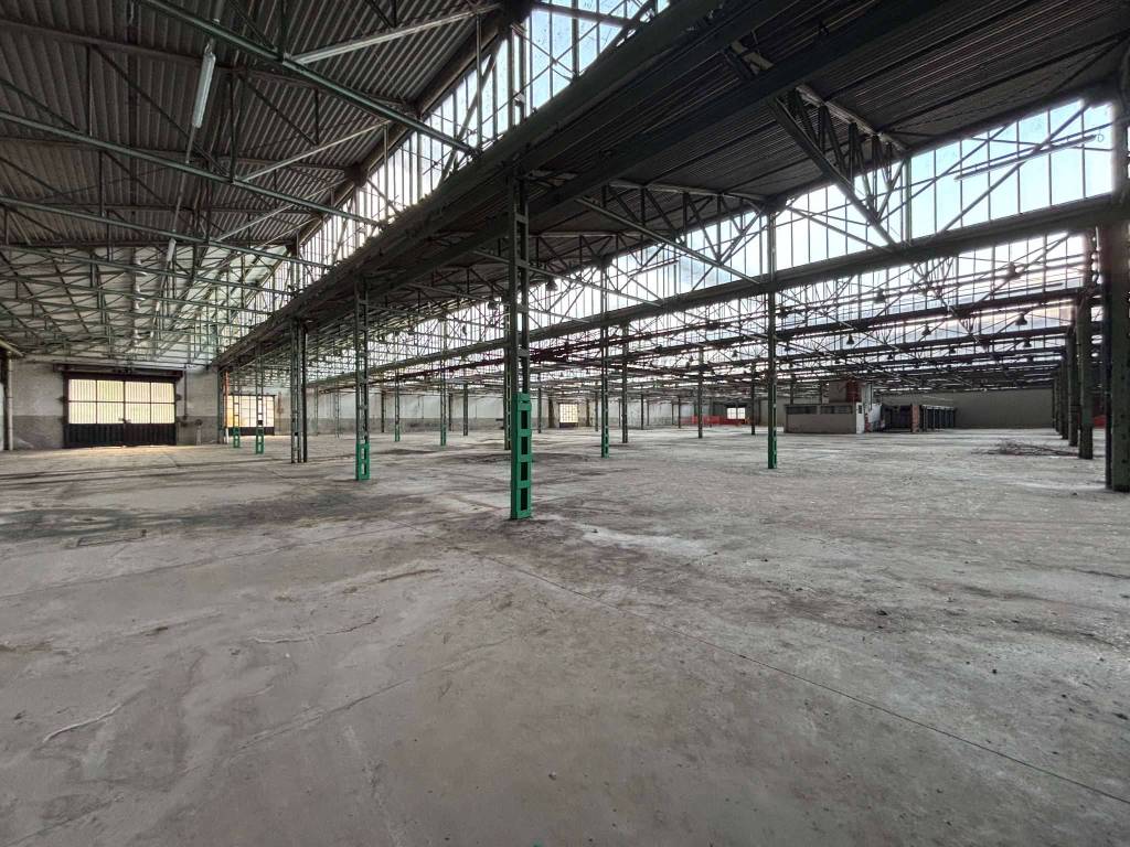 immagine annuncio 13 di 15