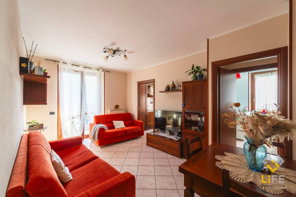 immagine annuncio 1 di 15