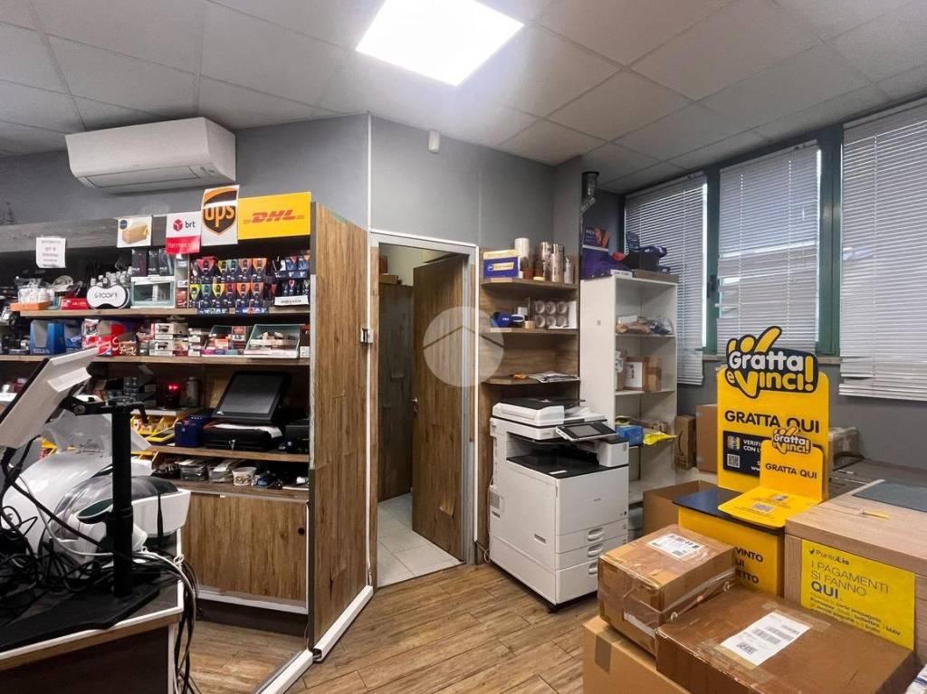 immagine annuncio 10 di 15