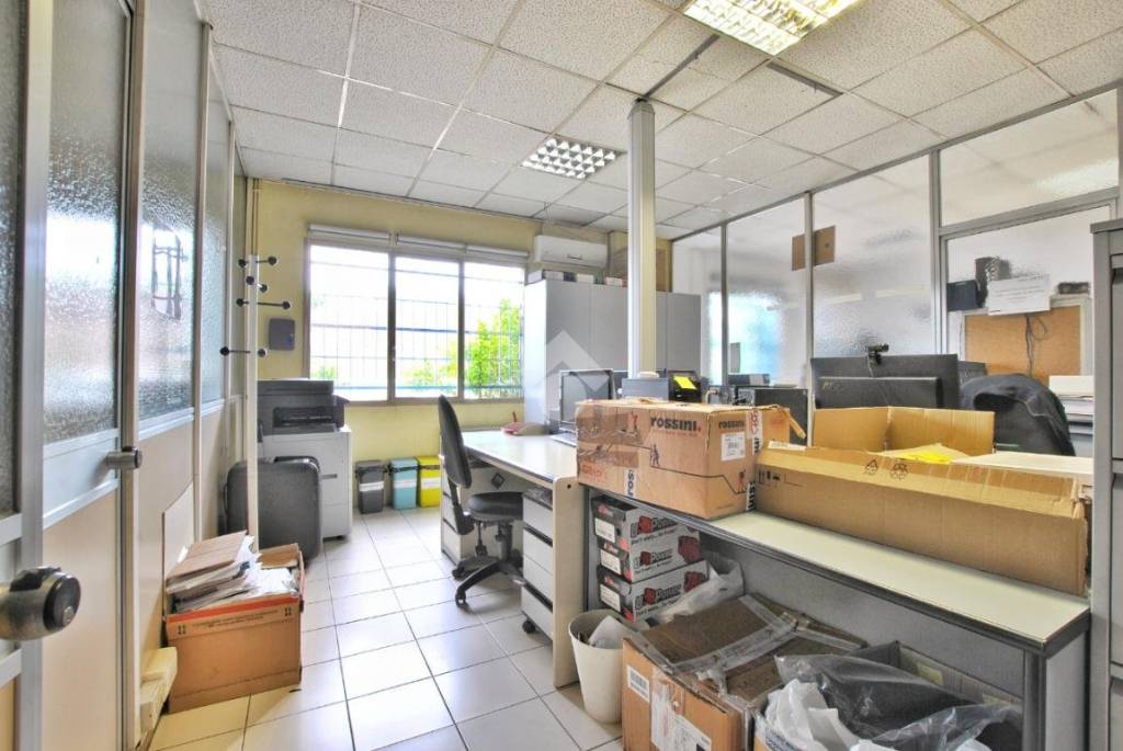 immagine annuncio 5 di 15