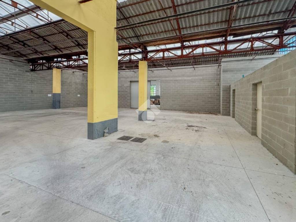 immagine annuncio 5 di 15