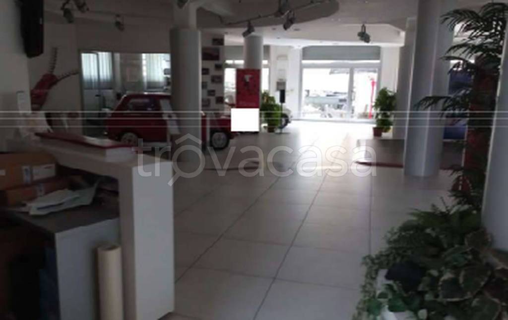 immagine annuncio 5 di 11