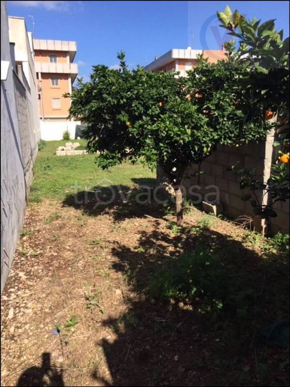 immagine annuncio 2 di 6