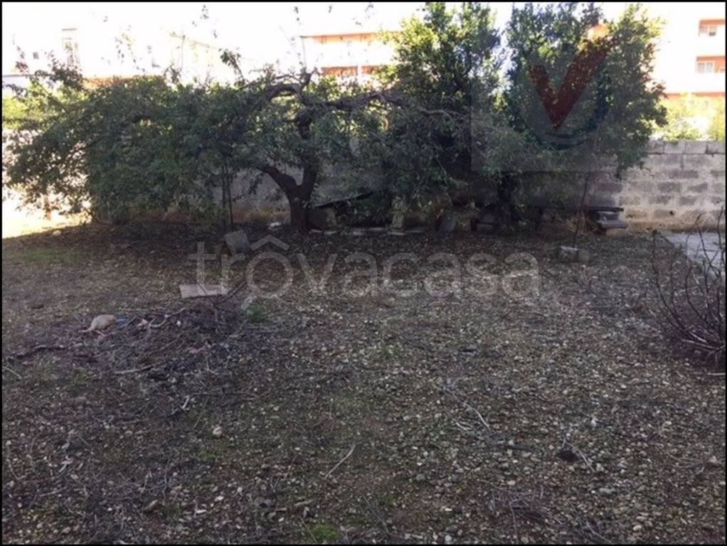 immagine annuncio 5 di 6