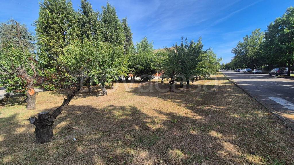 immagine annuncio 3 di 6