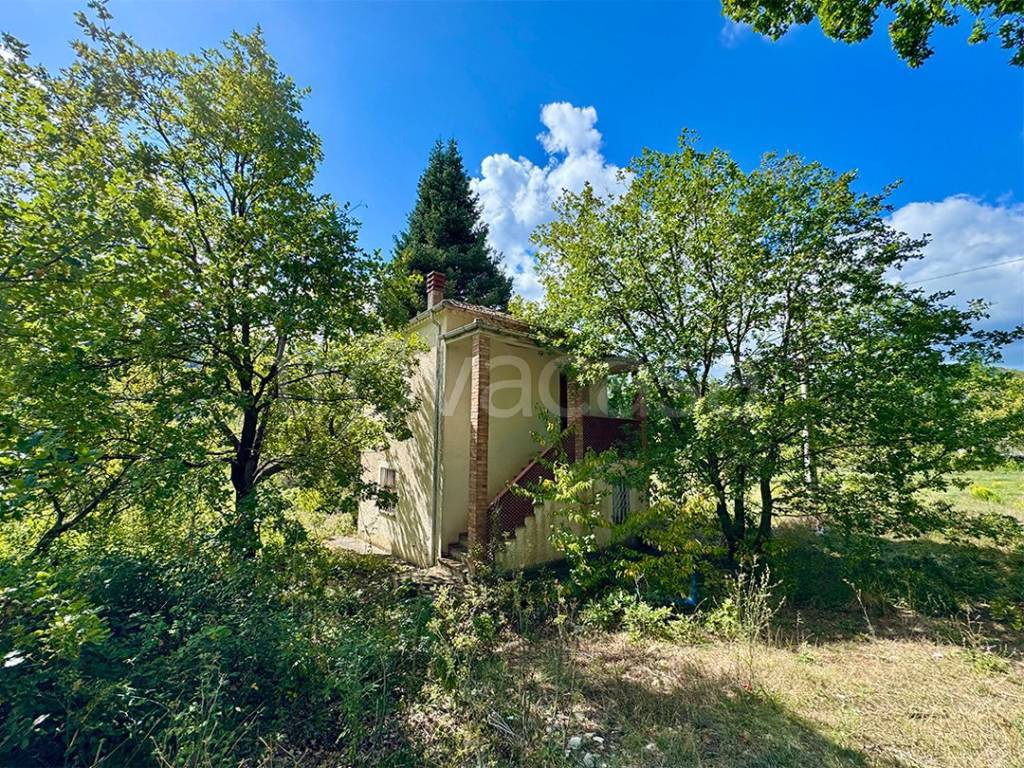 immagine annuncio 1 di 6