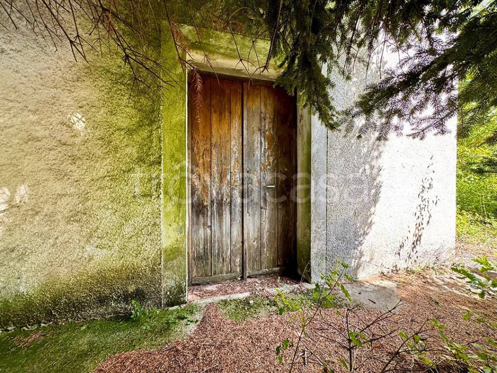 immagine annuncio 2 di 6